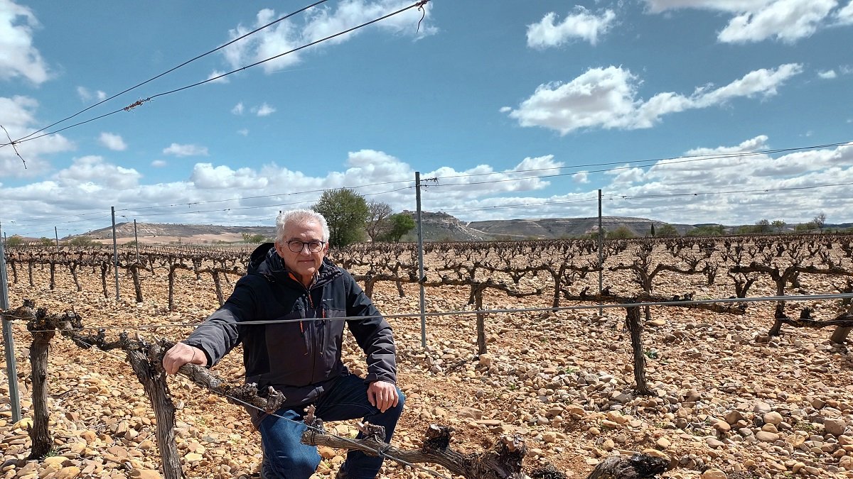 Juan Lázaro explica desde su viñedo que el calor ha hecho que haya más plantas con yemas abiertas, lo que las deja desprotegidas en caso de heladas, y que la falta de agua no es clave en este momento del año. / ECB