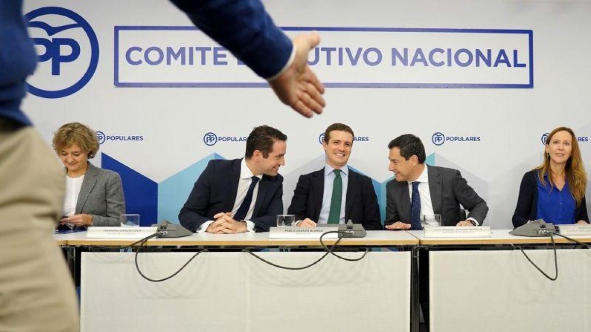 El presidente del PP, Pablo Casado, en un Comité Ejecutivo Nacional.-JOSÉ LUIS ROCA