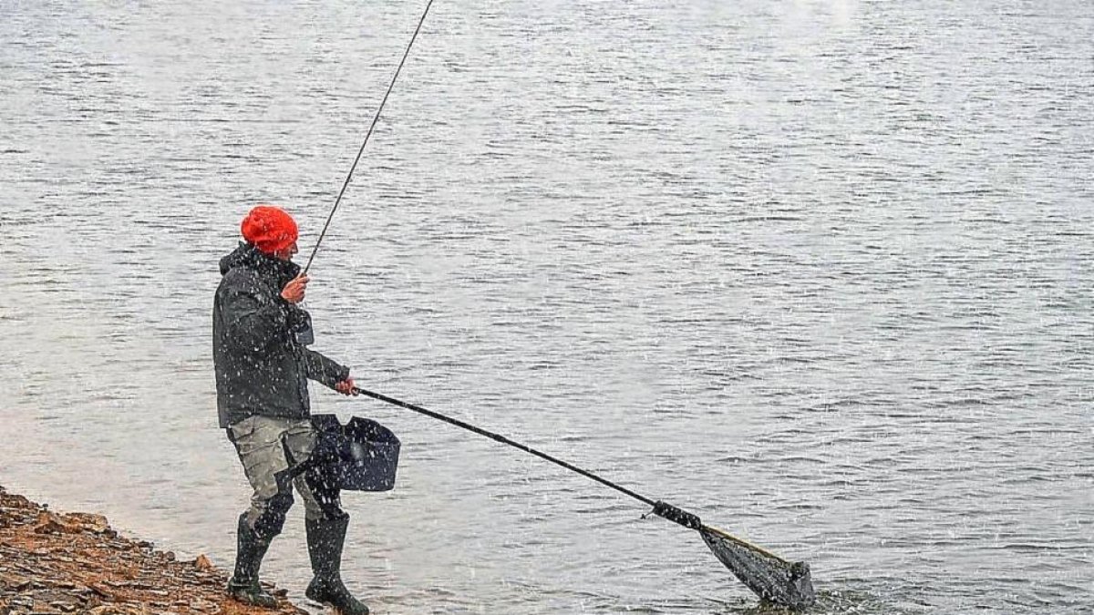 Un pescador de látigo introduce en la sacadera una magnífica trucha capturada en un lago.-L. FUENTE