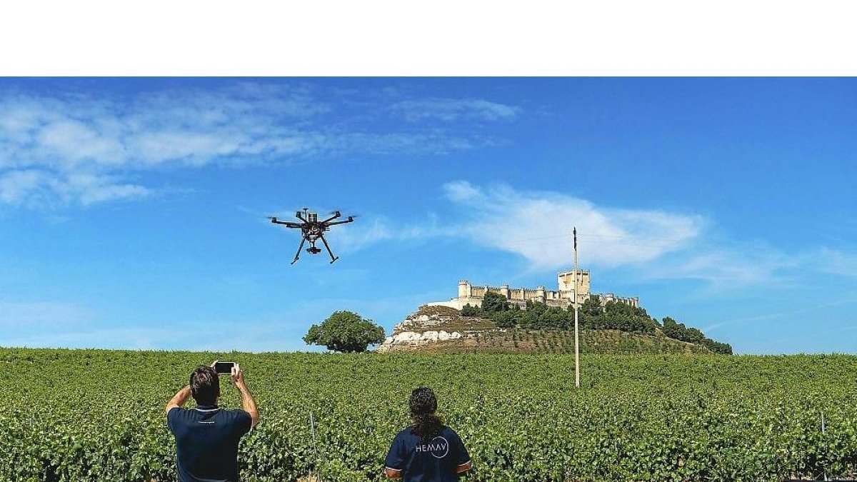 Dos técnicos controlan el vuelo de una aeronave sin tripulación en unas parcelas ubicadas en el entorno de la localidad vallisoletana de Peñafiel.-HEMAV-AGRODATO