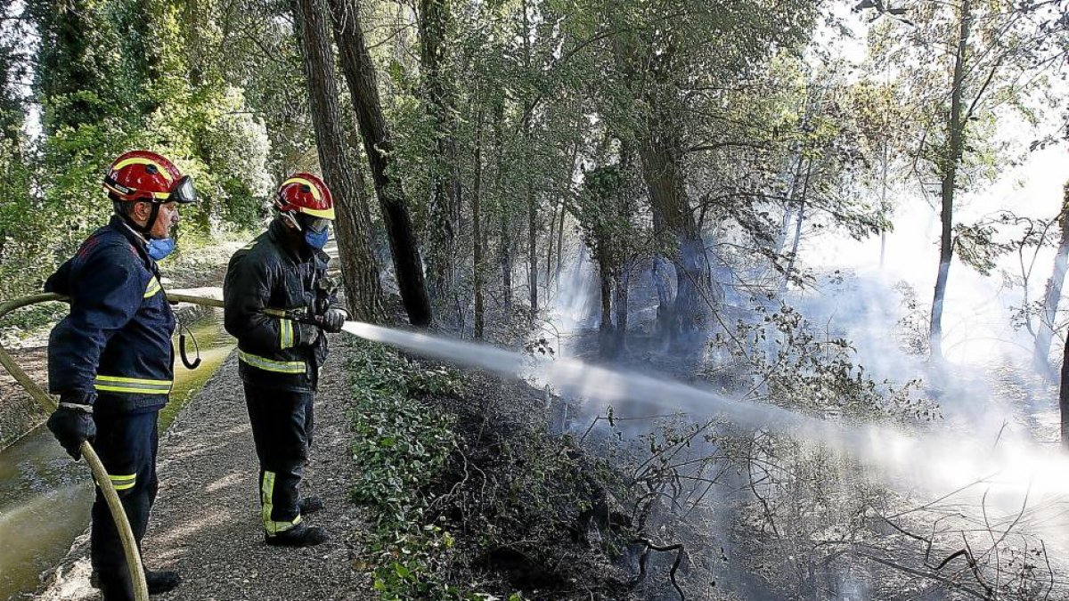 Los Bomberos sofocan el incendio de rastrojos y pinos en el camino de La Farola de Laguna de Duero.-J. M. LOSTAU