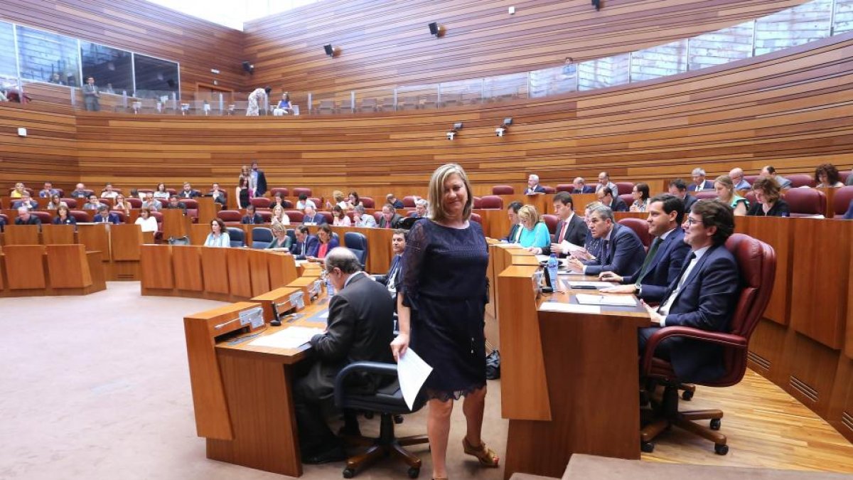 La consejera de Hacienda, Pilar del Olmo, se dirige al atril en el Pleno de Presupuestos.-ICAL