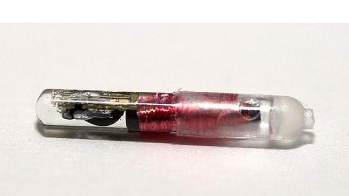 Un chip implantable bajo la piel.-