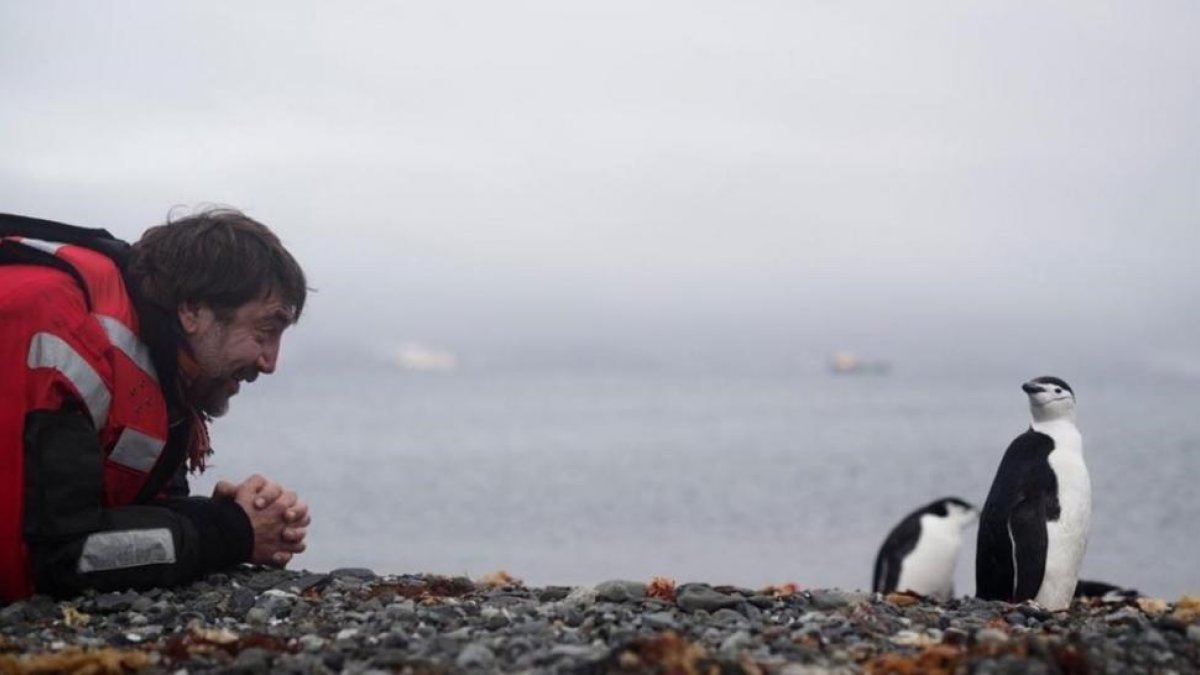 Javier Bardem, saludando a unos pingüinos en la Antártida.-/ PERIODICO (INSTAGRAM