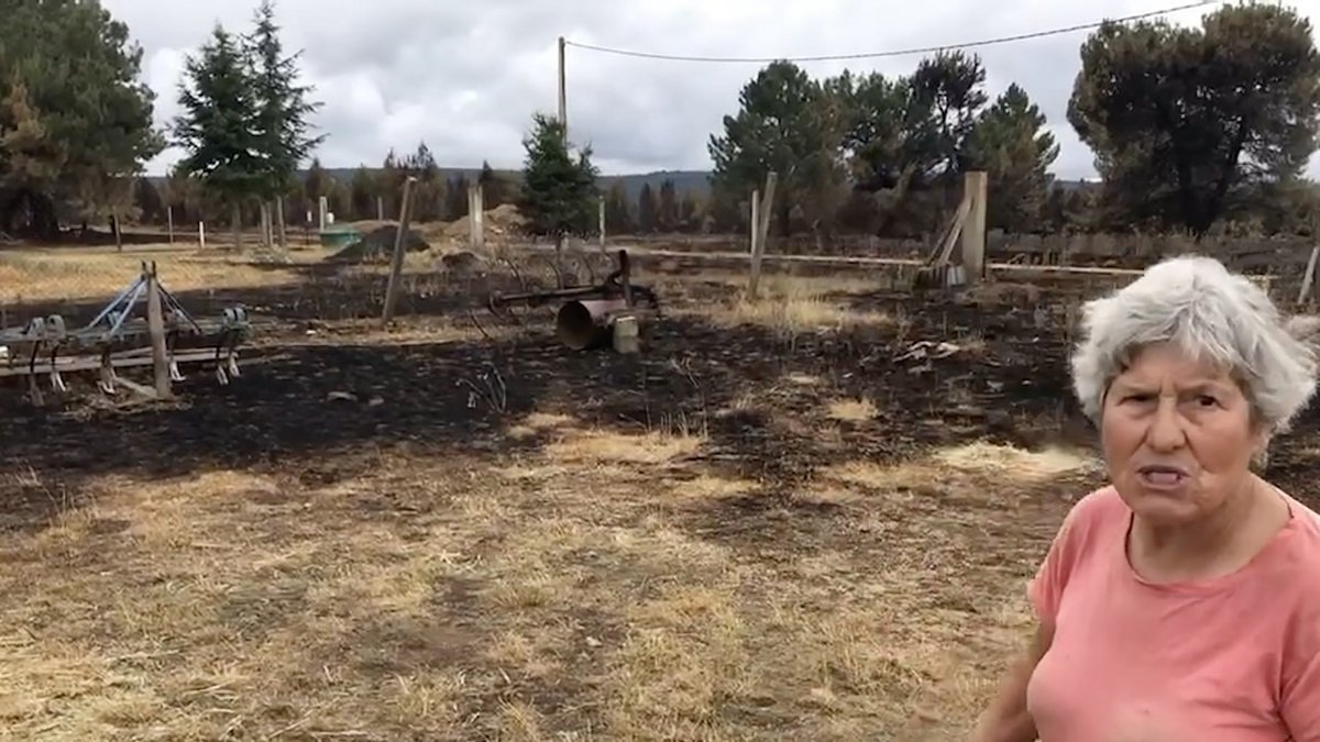 Nelly muestra los restos del incendio en la nave donde dejó sus cabras.- A. Calvo