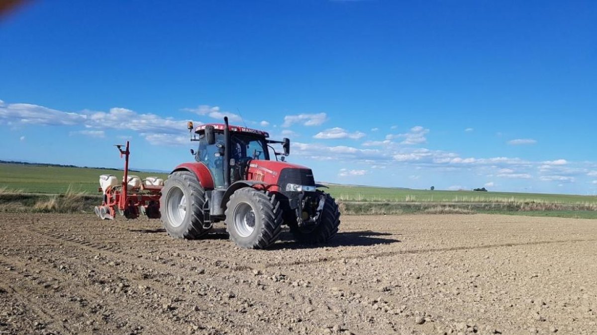 Labores de siembra de remolacha en una explotación de la localidad palentina de Astudillo.-M.M.