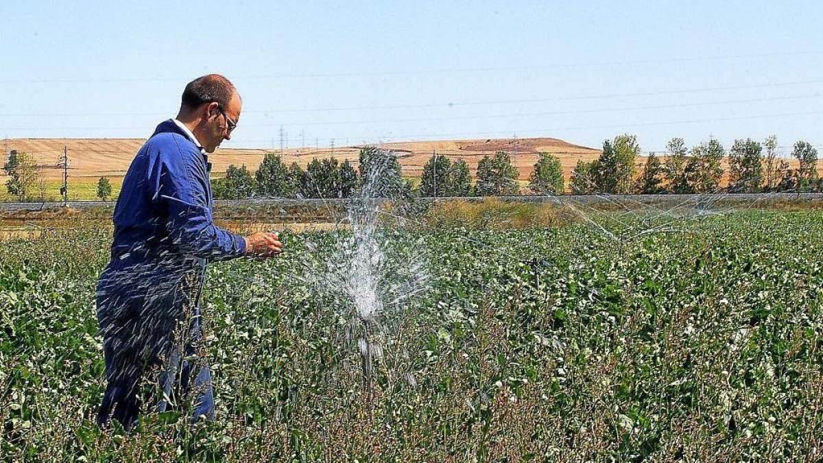 Un agricultor acondicionando su parcela en la provincia de Palencia.-BRÁGIMO