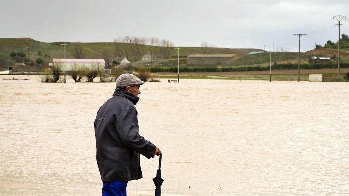 Un hombre observa la inundación de los campos de Mayorga, provocada por el río Cea.-ICAL