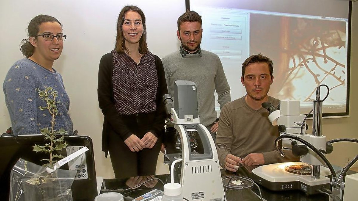 María Hernández, Olaya Mediavilla, Iván Franco y Jaime Olaizola, miembros del equipo de IDForest.-MANUEL BRÁGIMO