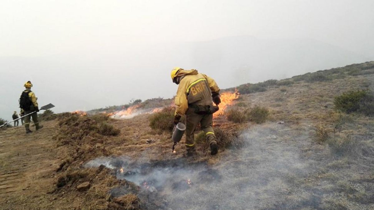 Los brigadistas trabajan en la extinción de un fuego.-ICAL