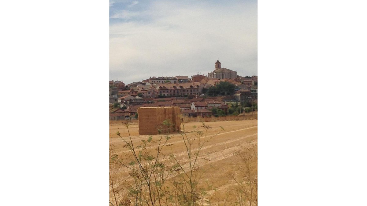 Pacas de paja en el campo después de la cosecha en la localidad vallisoletana de Simancas (Valladolid)-M.C.