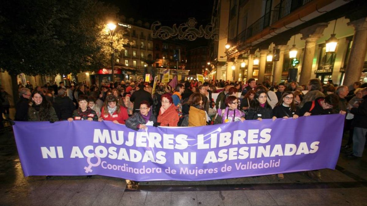 Manifestación del Día Mundial contra la Violencia de Género-Ical