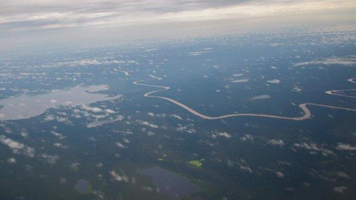 Imagen aérea de la Amazonia.-HERIBERTO ARAÚJO