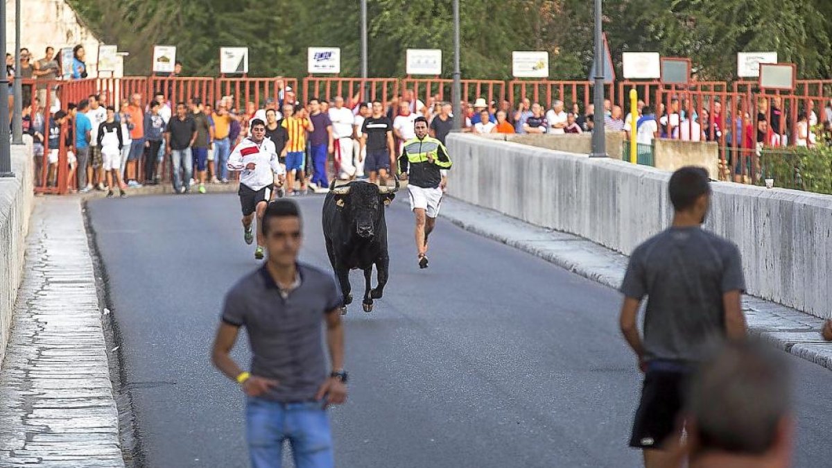 Encierro en Tudela de Duero-T. SANCHO