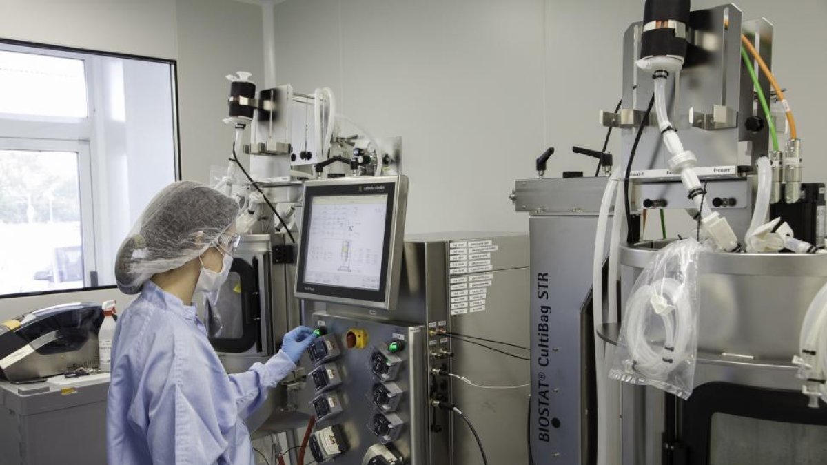 Una investigadora en las instalaciones del laboratorio mAbxience en el Parque Tecnológico de León.-EL MUNDO