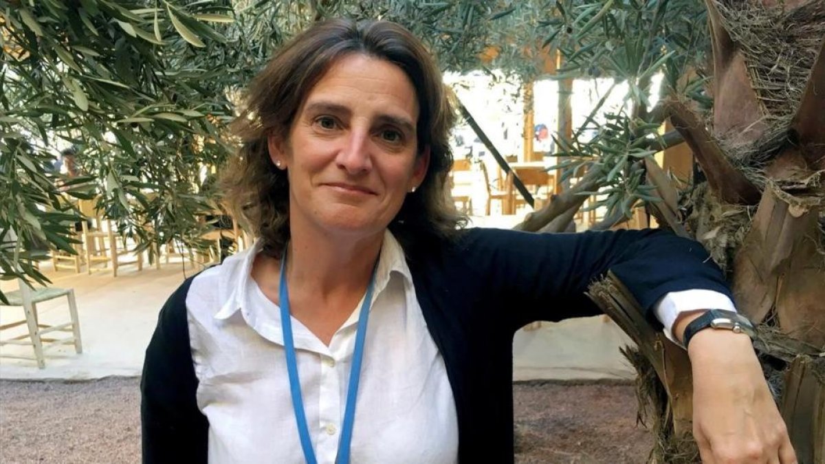 Teresa Ribera-/ EFE / CATY AREVALO