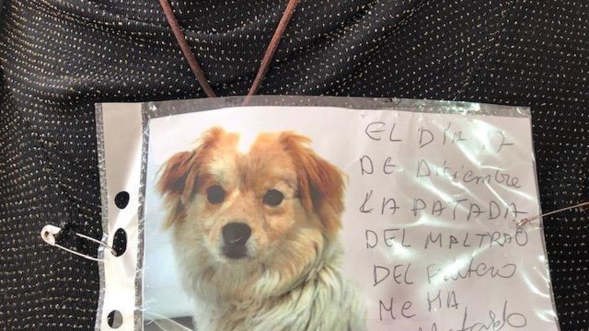 Foto cedida por Libera!-E. M.
