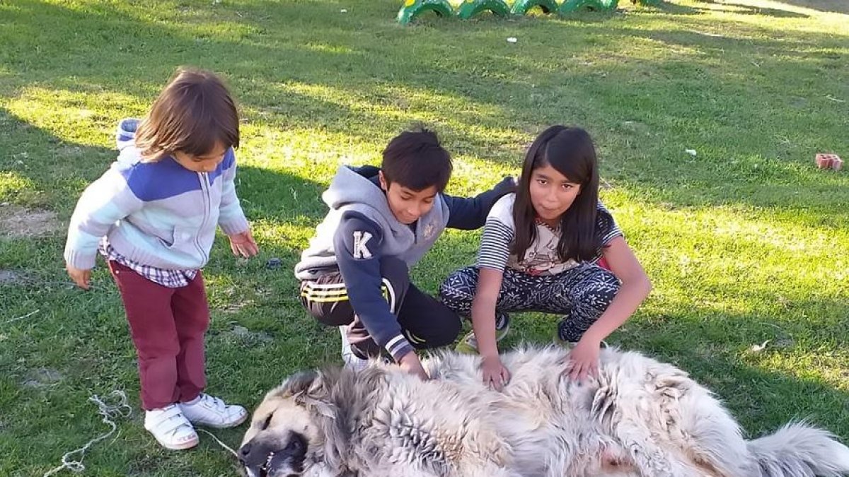 Los hermanos Íker, Barkat y Jenifer, los tres alumnos que podrán continuar estudiando en Gotarrendura.-E. M.