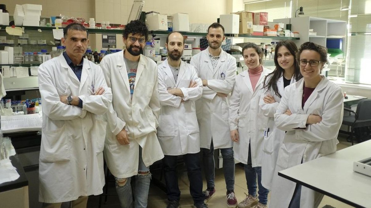 Investigadores participantes en el proyecto de investigación.-ENRIQUE CARRASCAL