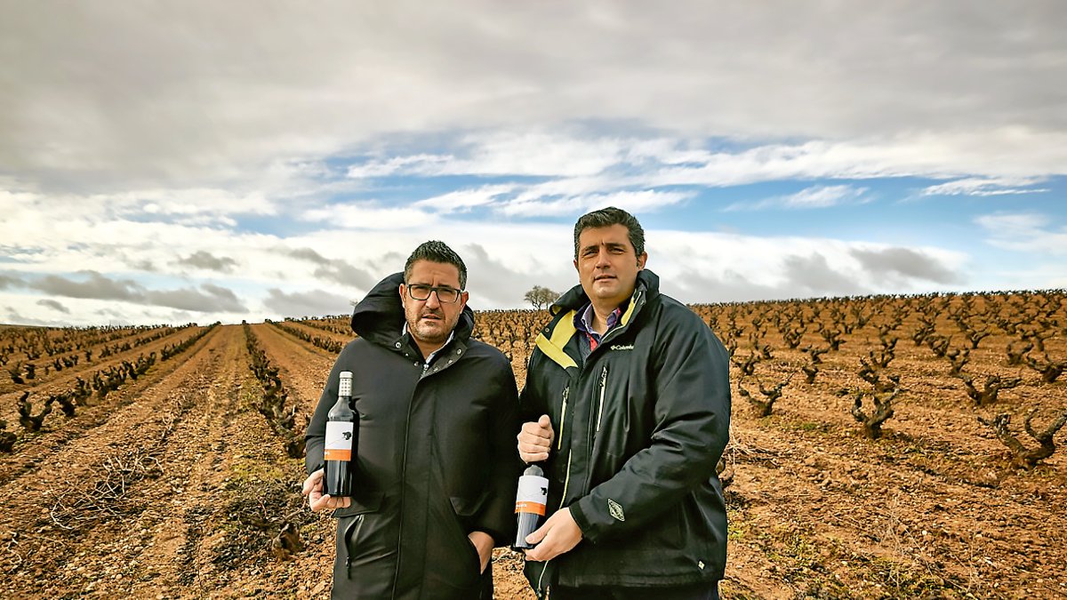 En la imagen, Juan Esteban (i) responsable de las labores de campo y su hermano Ricardo (d), encargado se supervisar la bodega, con el vino elegido por la publicación americana como el mejor por menos de 50$. Un equipo que completan con su hermana Esther, al frente del laboratorio.  / E.M.