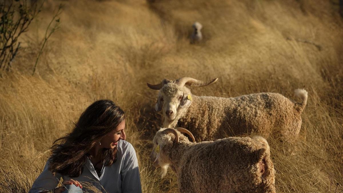 Rocío García, junto a sus cabras de Angora, en el terreno donde las cría.-ENRIQUE CARRASCAL