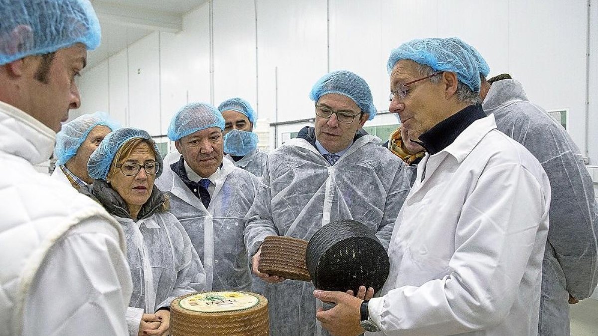 Mañueco visitando la fábrica de quesos ‘El Pastor’.-ICAL