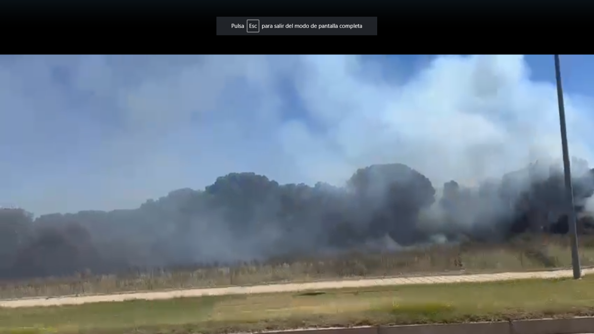 Vídeo del incendio poco antes de ser sofocado por el cuerpo de Bomberos.- E.M.