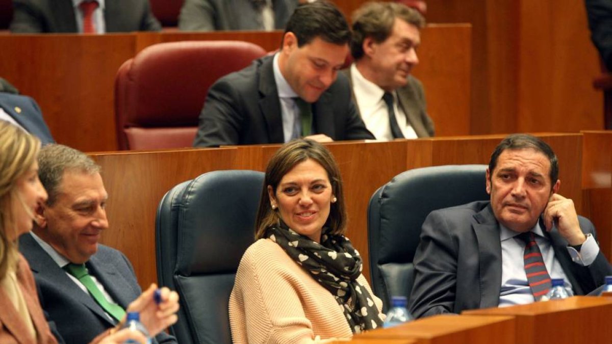 La consejera de Familia, Milagros Marcos, en el Pleno de las Cortes-Ical