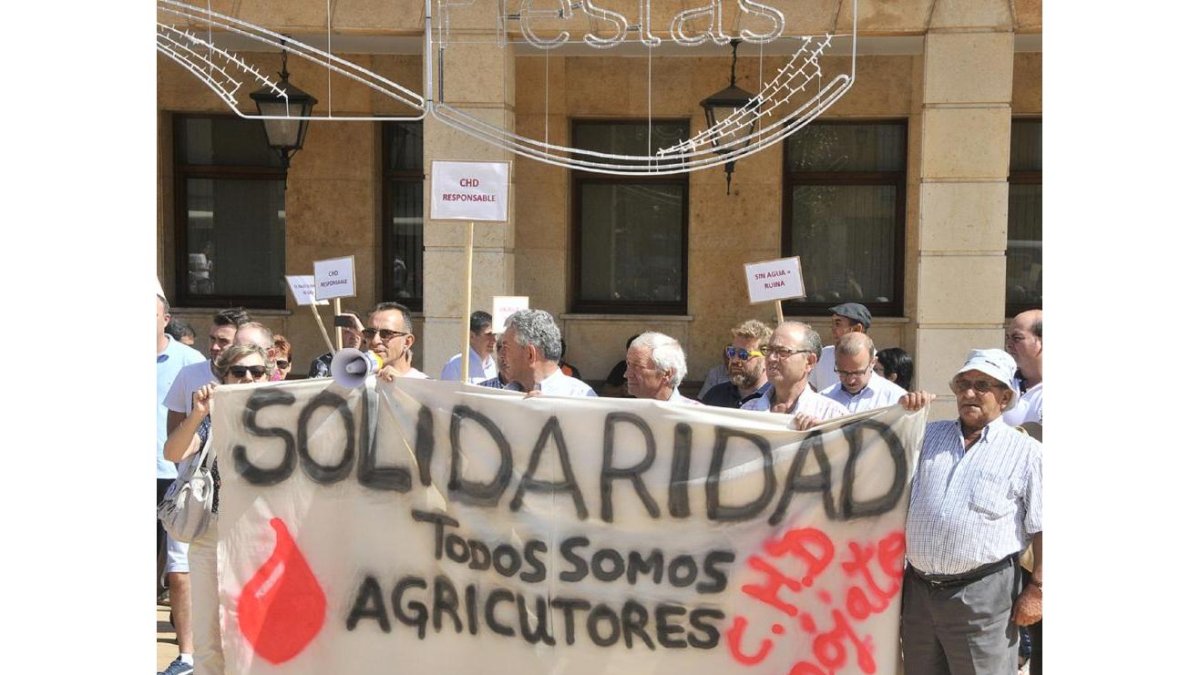 Agricultores del Bajo Duero en su manifestación del viernes en Almazán.-DANIEL RODRÍGUEZ