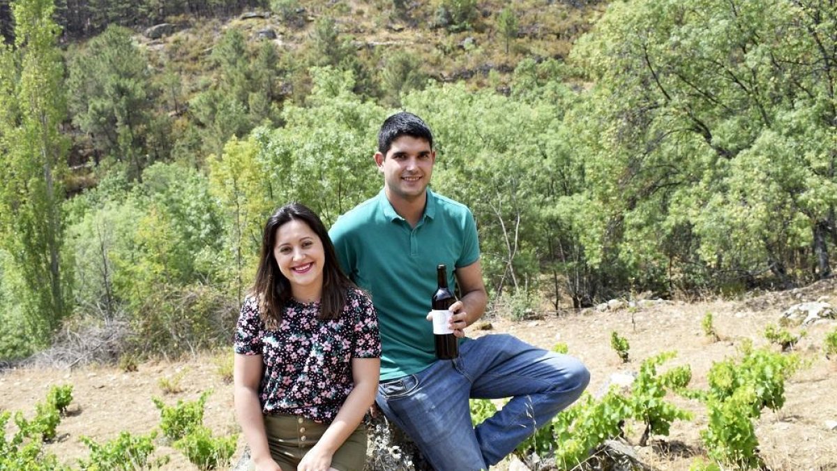 Esther y Jose María en una viña en vaso en el majuelo de El Chorrito, en el paraje de El Sotillo, en Navatalgordo.-