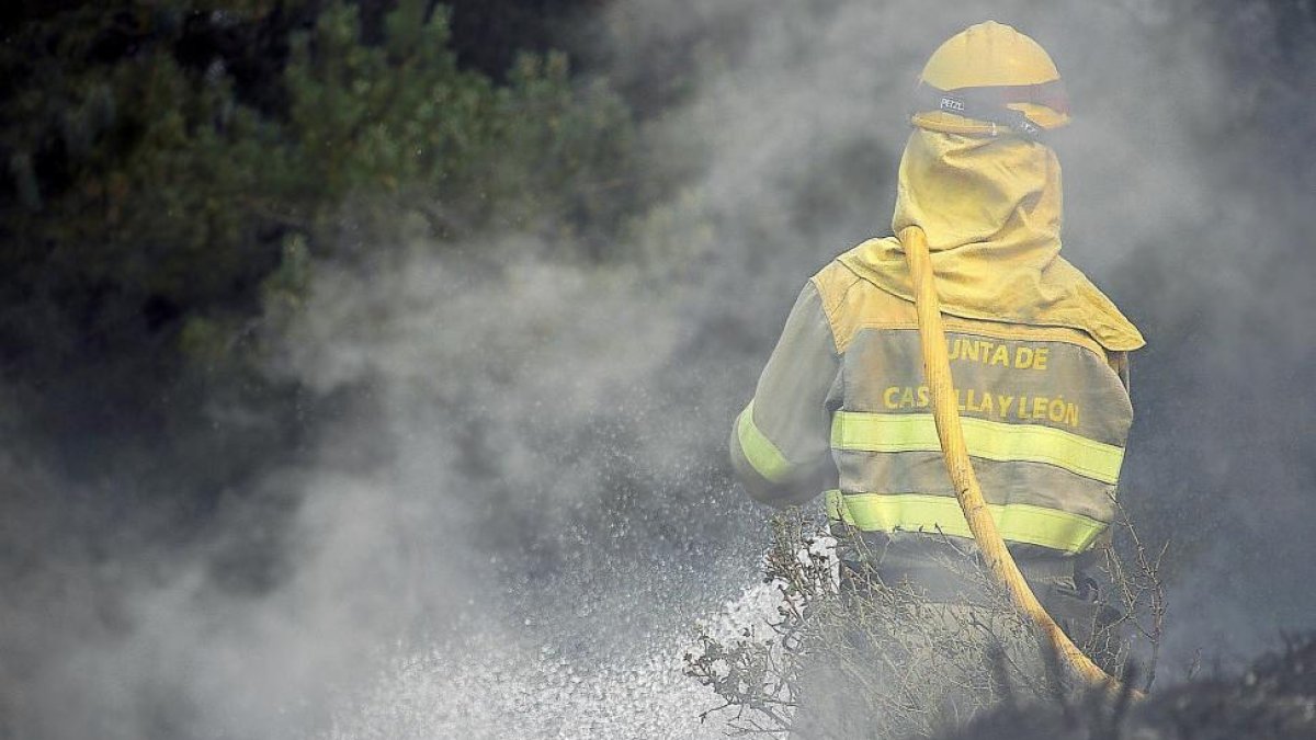 Un brigadista refresca la zona quemada en La Cabrera para evitar rebrotes.-ICAL