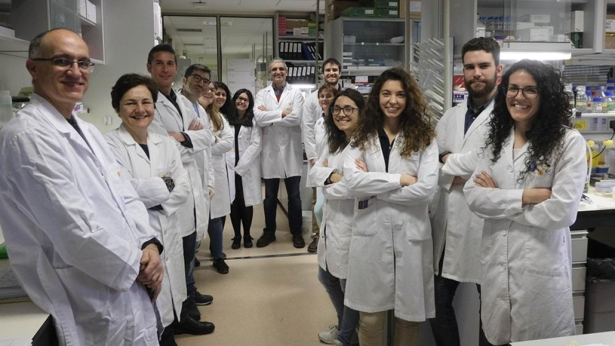 Investigadores del Centro de Investigación del Cáncer de Salamanca.-ENRIQUE CARRASCAL