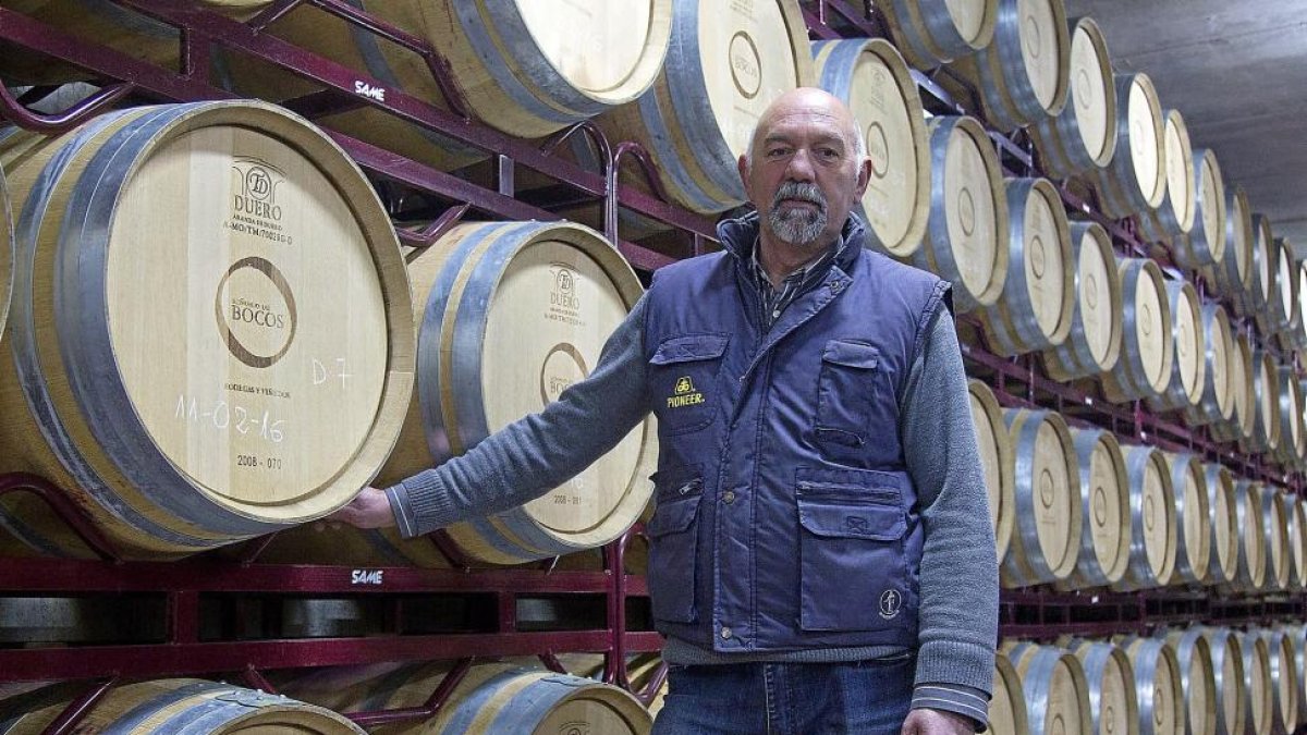 José del Valle, bodeguero de Señorío de Bocos, posa junto a las barricas de roble. Abajo, depósitos de acero inoxidable para la elaboración.-M. DENEIVA