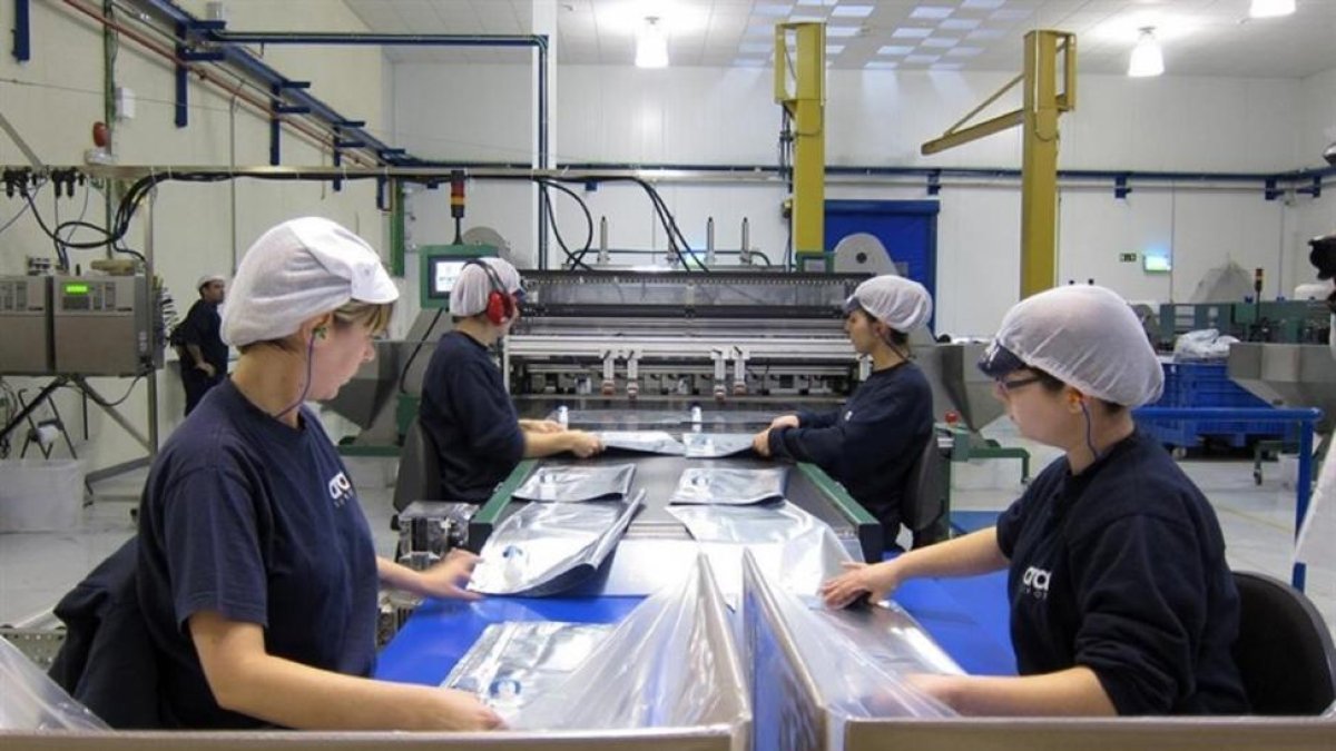 Trabajadoras en una fábrica.-EUROPA PRESS