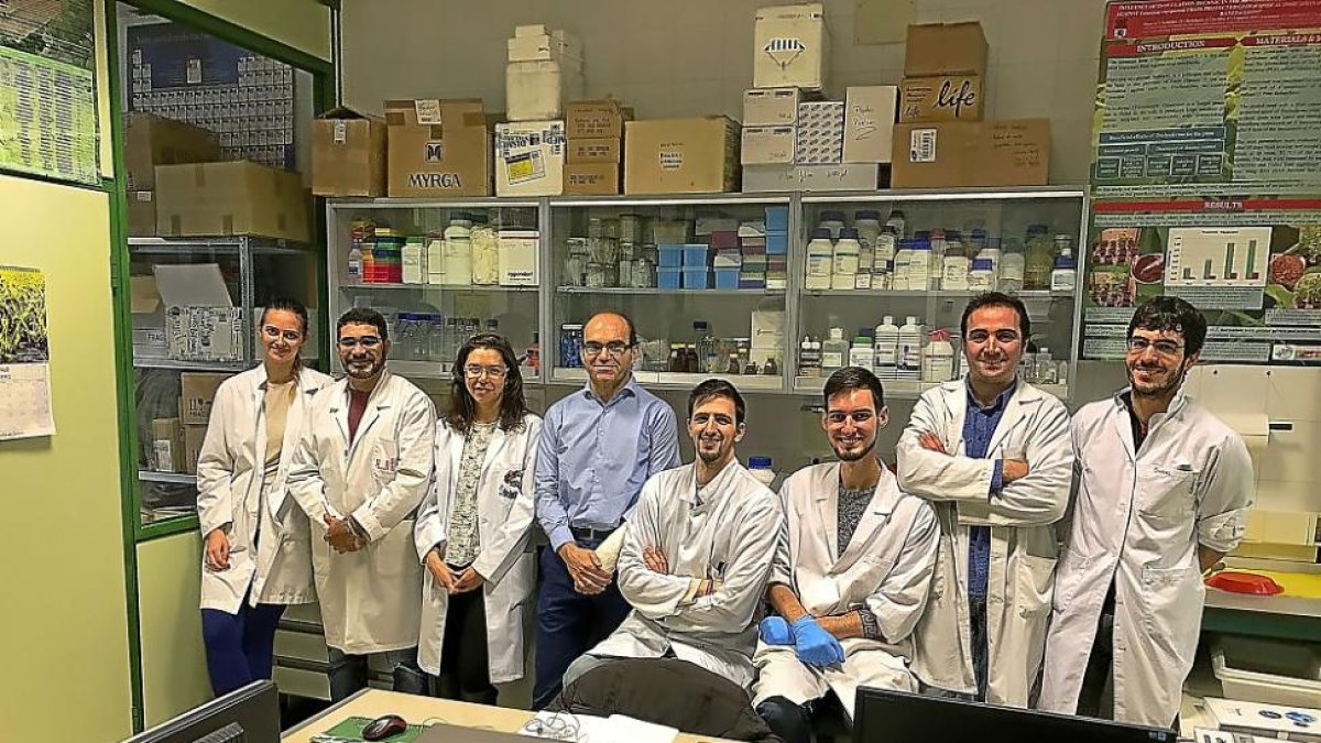 El grupo de investigación de Ingeniería y Agricultura Sostenible en las instalaciones de la Universidad de León.-EL MUNDO