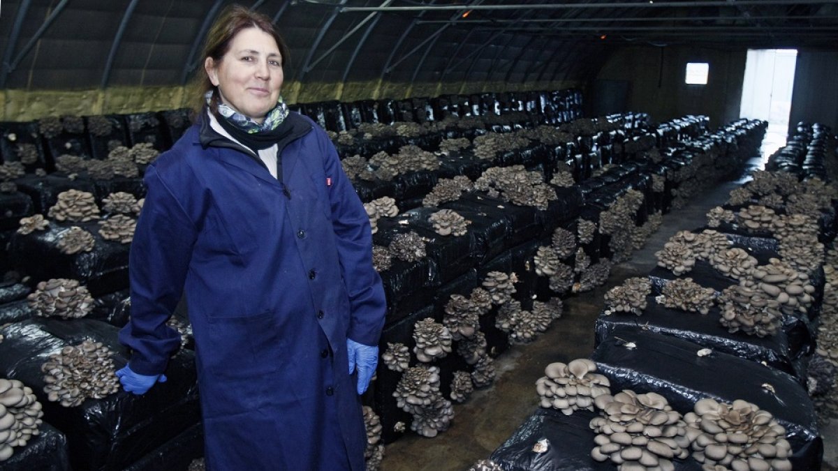 Asun Martínez, en una de las naves de Cemichamp. / HDS