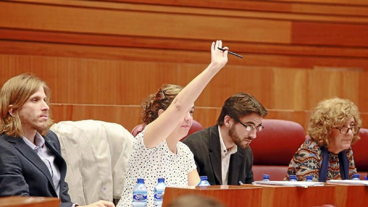 Natalia del Barrio ordena las votaciones en la bancada de Podemos. A la izquierda, el portavoz, Pablo Fernández.-ICAL