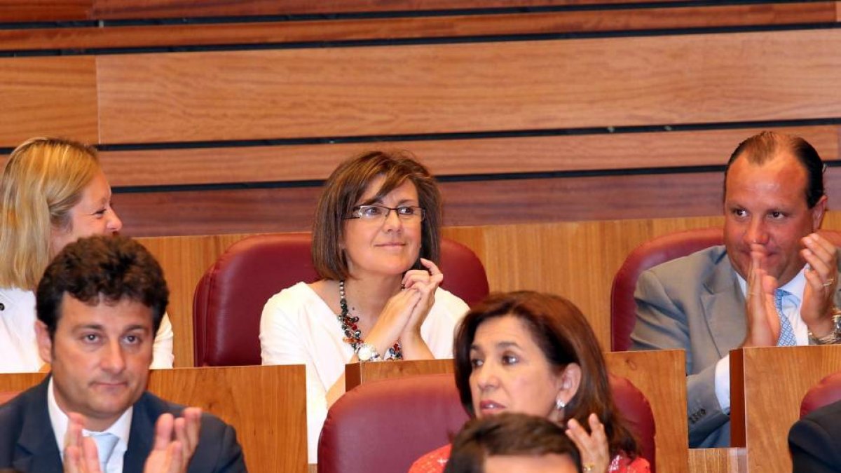 María del Mar Angulo,durante el Pleno extraordinario de las Cortes para la designación de los senadores en representación de la Comunidad-Ical