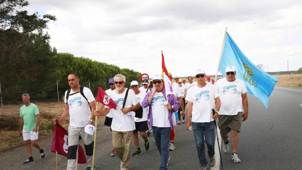 Los ganaderos de vacuno de leche prosiguen su 'Marcha blanca' hasta Madrid, entre Sanchidrián y Villacastín .-ICAL