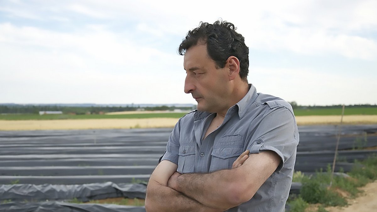 Luis San José observa las esparragueras situadas en la Ribera del Duero donde cultiva en ecológico. / LA POSADA