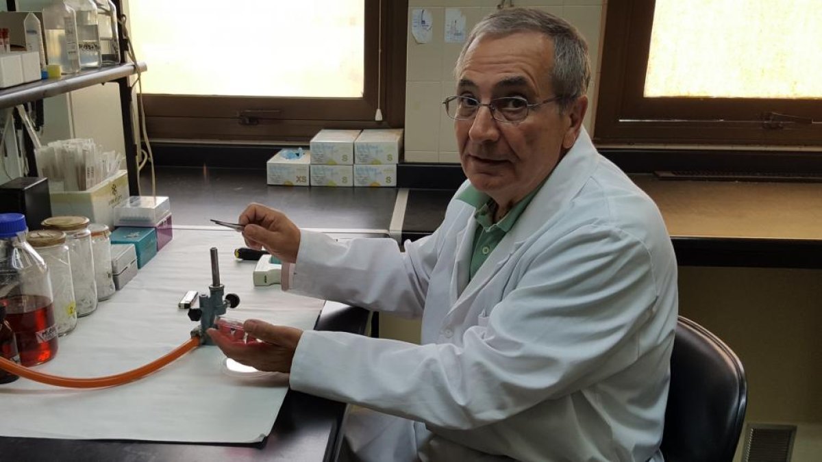 El catedrático Elías F. Rodríguez Ferri en las instalaciones de la Universidad de León.-EL MUNDO
