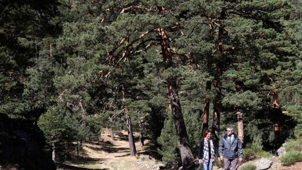 La consejera de Cultura y Turismo, Josefa García, visita las obras de acondicionamiento, consolidación y promoción de la Calzada Romana de Fuentefría. En la imagen, junto con el director de la Red Centro-Sur de Abertis Autopistas, Ignacio Arbilla Sampol-Ical