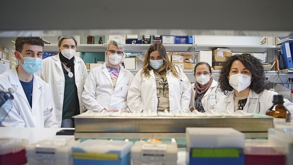 El IBGM comprueba el efecto protector de la administración inyectada de oleaceína en la esclerosis múltiple. / J.M. LOSTAU