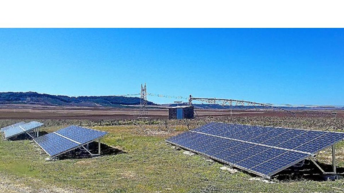 Proyecto de i-Solagua de modernización de pivots en la localidad zamorana de Pinilla de Toro.-E.M.