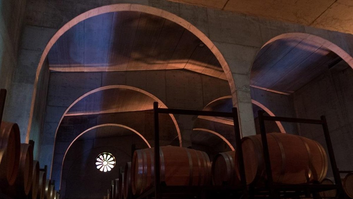 DanielNavarro es el gerente de las Bodegas Nabal.-E. M.