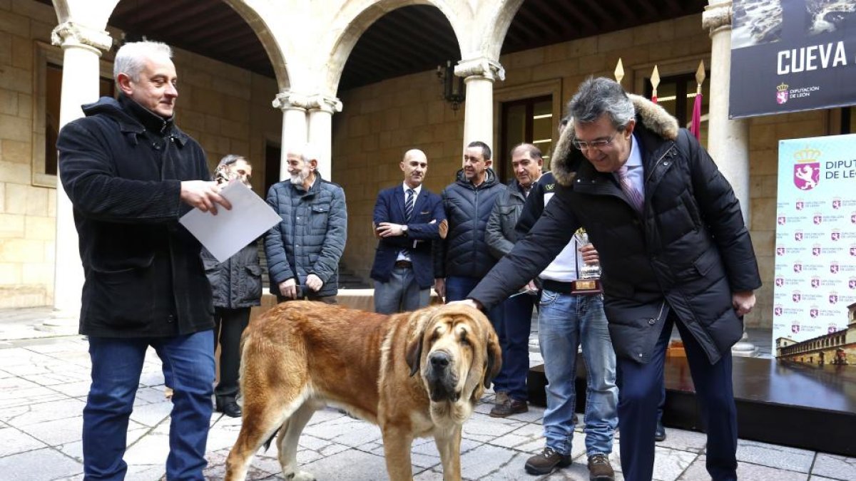 El presidente de la Diputación de León, Juan Martínez Majo, acaricia un mastín.-ICAL