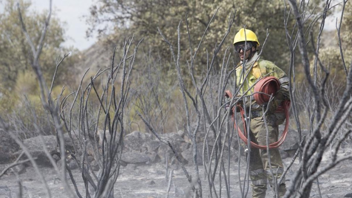 Continúan las labores de extinción en el incendio de Fermoselle.-ICAL