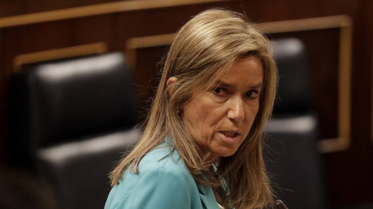 Ana Mato durante su intervención en el pleno del Congreso de los Diputados-El Mundo