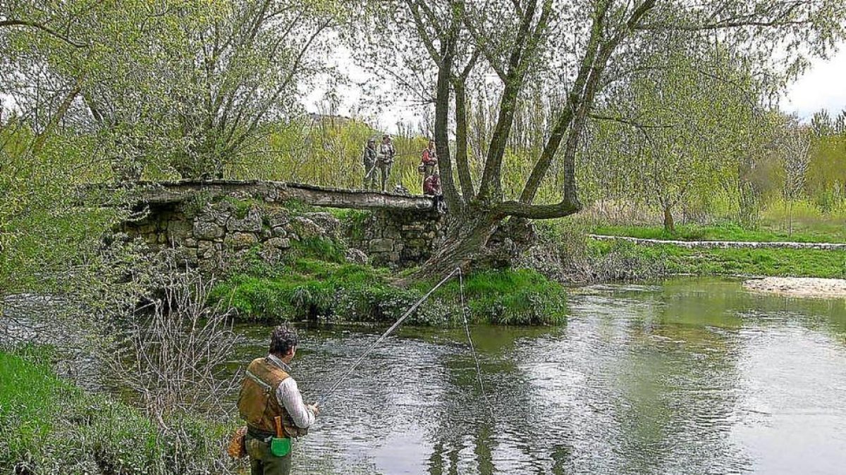Antiguo coto intensivo de pesca de Rábano, en Valladolid, hoy aguas de libre acceso.-L. FUENTE