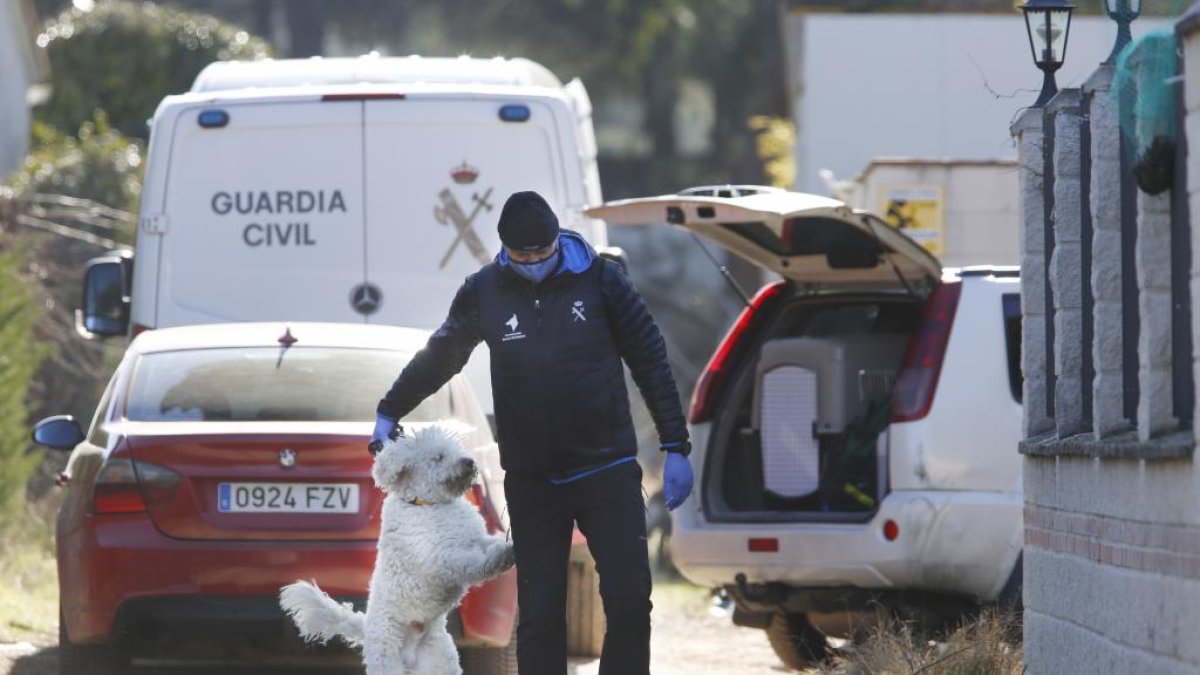 Uno de los  perros incorporados a la búsqueda de Esther en Traspinedo. J. M. LOSTAU
